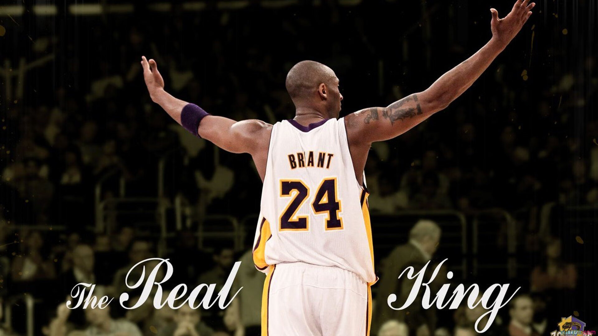 米兰体育-篮球比赛转播引入人工智能剪辑技术提升回放效率与质量，篮球视频方案